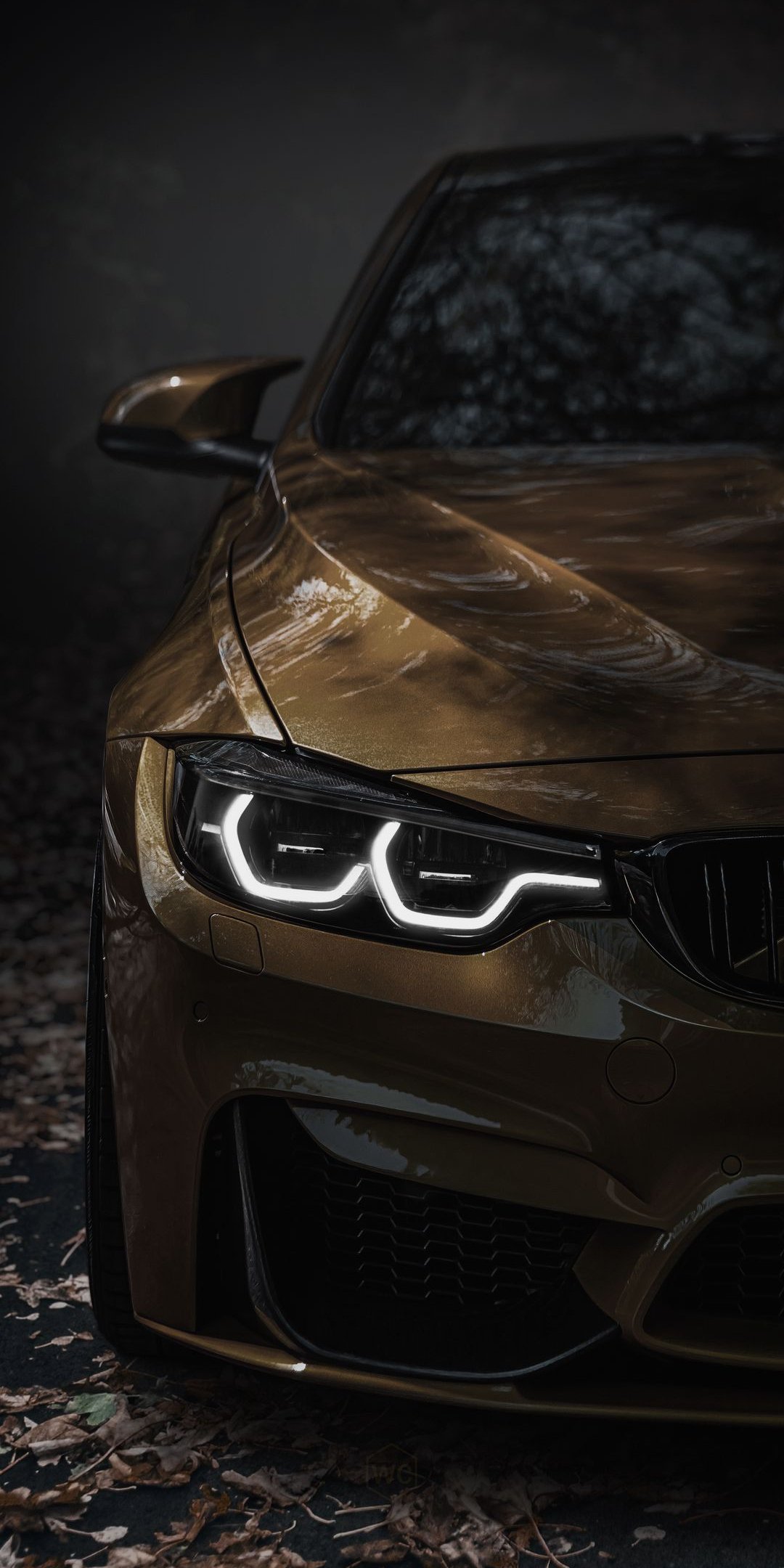 Dark bronze BMW photographed among forest reflections